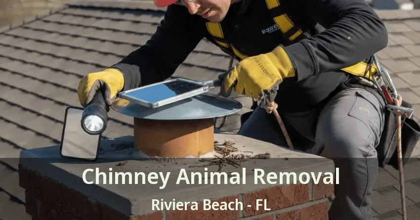 Chimney Animal Removal Riviera Beach - FL