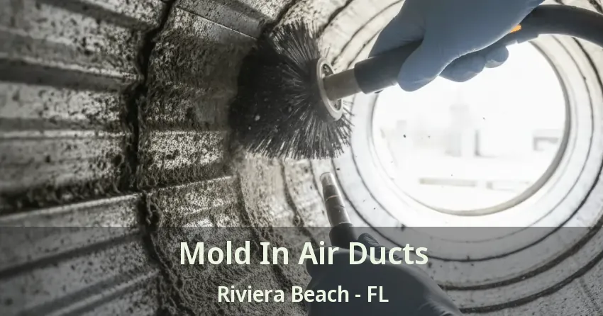 Mold In Air Ducts Riviera Beach - FL