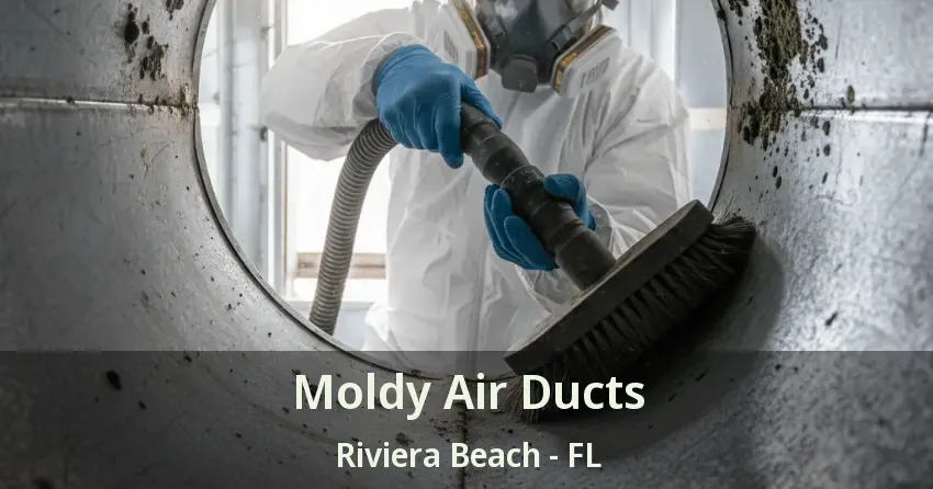 Moldy Air Ducts Riviera Beach - FL